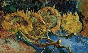 Image of our reproduction of Four Sunflowers gone to Seed by Vincent van Gogh on canvas, small