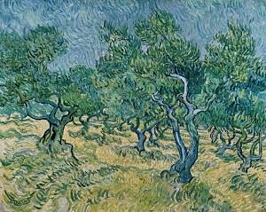 Image of our reproduction of Olive Grove by Vincent van Gogh on canvas, small