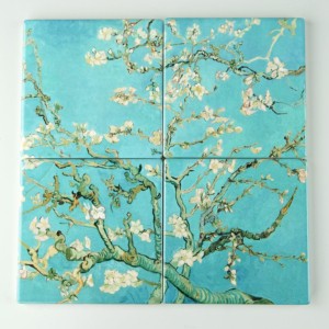Almond Blossom