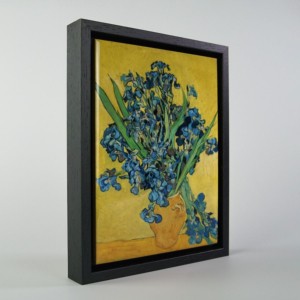 Irises