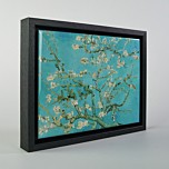 Almond Blossom