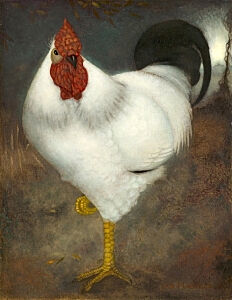 Image of our reproduction of White Rooster by Jan Mankes on canvas, small