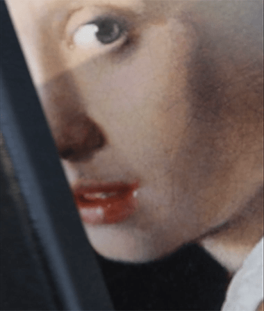 Johannes Vermeer Collection